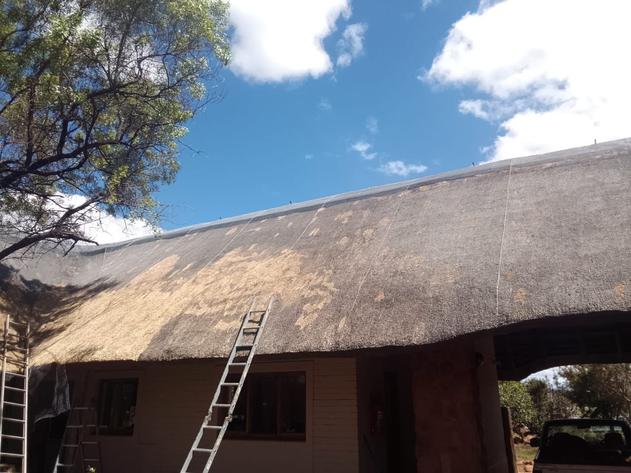 Thatch Fire Retardant